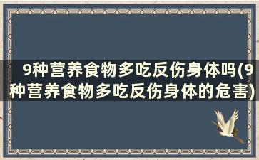 9种营养食物多吃反伤身体吗(9种营养食物多吃反伤身体的危害)