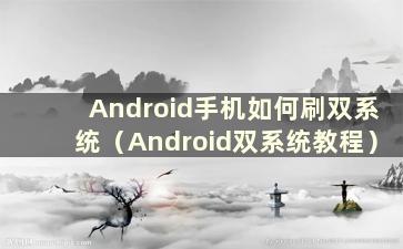 Android手机如何刷双系统（Android双系统教程）