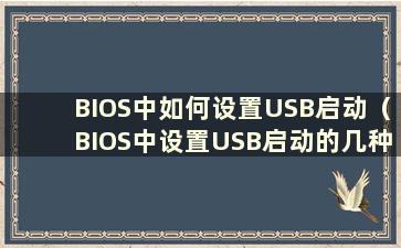 BIOS中如何设置USB启动（BIOS中设置USB启动的几种方法）