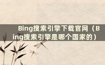 Bing搜索引擎下载官网（Bing搜索引擎是哪个国家的）