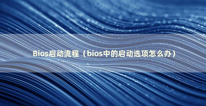 Bios启动流程（bios中的启动选项怎么办）