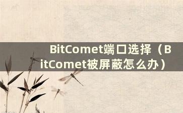 BitComet端口选择（BitComet被屏蔽怎么办）