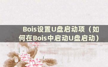 Bois设置U盘启动项（如何在Bois中启动U盘启动）