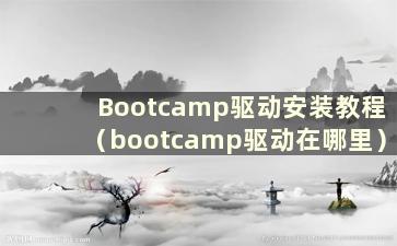 Bootcamp驱动安装教程（bootcamp驱动在哪里）