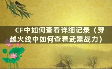 CF中如何查看详细记录（穿越火线中如何查看武器战力）