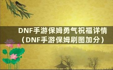 DNF手游保姆勇气祝福详情（DNF手游保姆刷图加分）