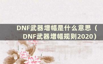 DNF武器增幅是什么意思（DNF武器增幅规则2020）