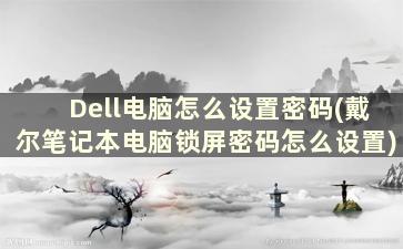 Dell电脑怎么设置密码(戴尔笔记本电脑锁屏密码怎么设置)