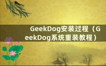 GeekDog安装过程（GeekDog系统重装教程）