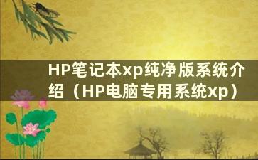 HP笔记本xp纯净版系统介绍（HP电脑专用系统xp）