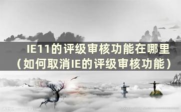 IE11的评级审核功能在哪里（如何取消IE的评级审核功能）