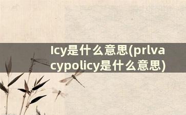 Icy是什么意思(prlvacypolicy是什么意思)