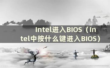 Intel进入BIOS（Intel中按什么键进入BIOS）