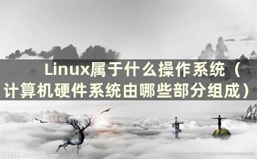 Linux属于什么操作系统（计算机硬件系统由哪些部分组成）