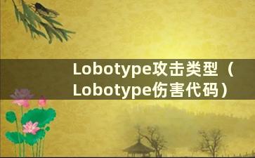 Lobotype攻击类型（Lobotype伤害代码）