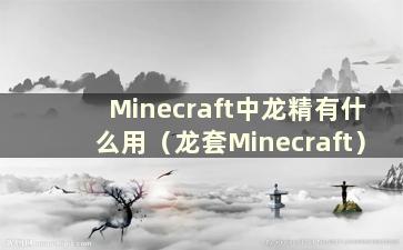 Minecraft中龙精有什么用（龙套Minecraft）