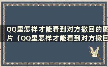 QQ里怎样才能看到对方撤回的图片（QQ里怎样才能看到对方撤回的图片）