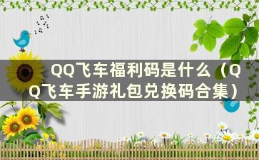 QQ飞车福利码是什么（QQ飞车手游礼包兑换码合集）