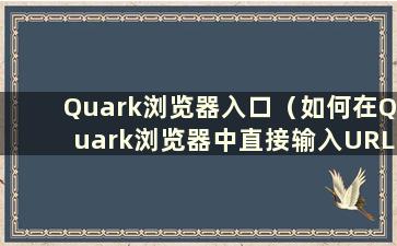 Quark浏览器入口（如何在Quark浏览器中直接输入URL）