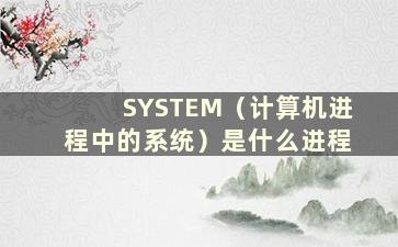 SYSTEM（计算机进程中的系统）是什么进程