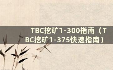 TBC挖矿1-300指南（TBC挖矿1-375快速指南）