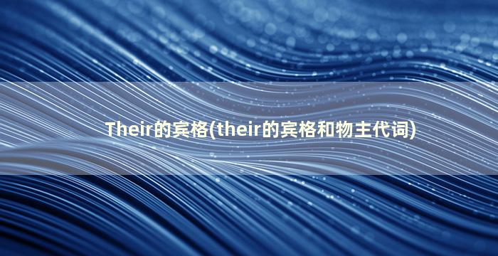 Their的宾格(their的宾格和物主代词)