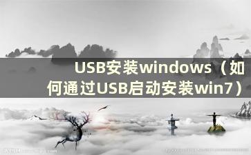 USB安装windows（如何通过USB启动安装win7）