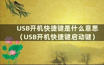 USB开机快捷键是什么意思（USB开机快捷键启动键）