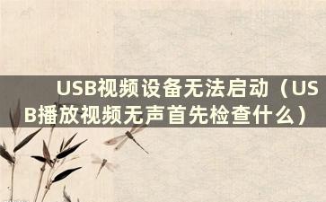 USB视频设备无法启动（USB播放视频无声首先检查什么）