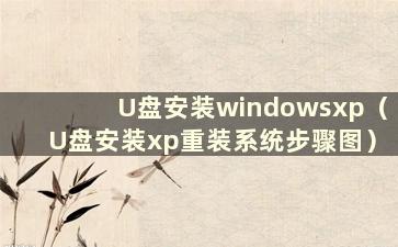 U盘安装windowsxp（U盘安装xp重装系统步骤图）