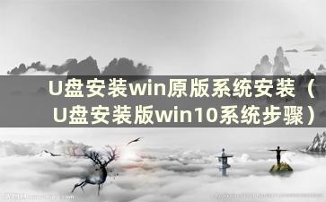 U盘安装win原版系统安装（U盘安装版win10系统步骤）