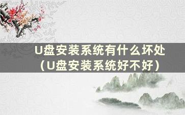 U盘安装系统有什么坏处（U盘安装系统好不好）