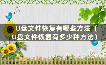 U盘文件恢复有哪些方法（U盘文件恢复有多少种方法）