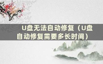 U盘无法自动修复（U盘自动修复需要多长时间）