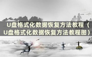 U盘格式化数据恢复方法教程（U盘格式化数据恢复方法教程图）