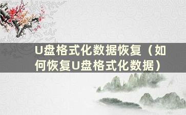 U盘格式化数据恢复（如何恢复U盘格式化数据）