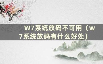 W7系统放码不可用（w7系统放码有什么好处）