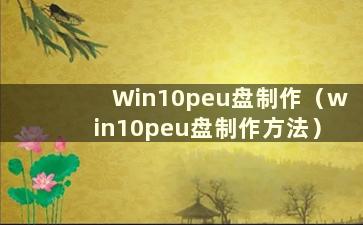 Win10peu盘制作（win10peu盘制作方法）