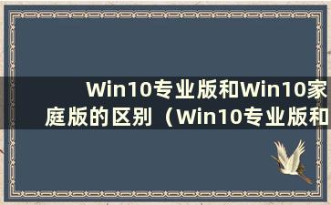 Win10专业版和Win10家庭版的区别（Win10专业版和家庭版知乎的区别）