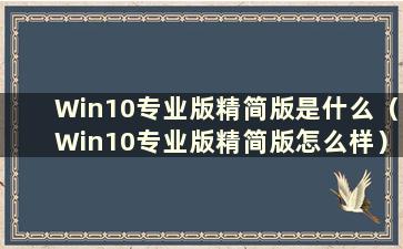 Win10专业版精简版是什么（Win10专业版精简版怎么样）