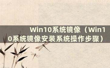 Win10系统镜像（Win10系统镜像安装系统操作步骤）