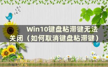 Win10键盘粘滞键无法关闭（如何取消键盘粘滞键）