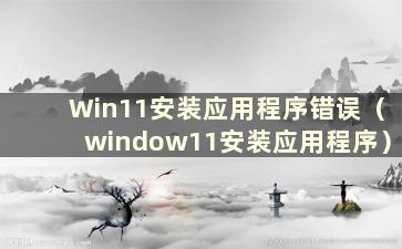 Win11安装应用程序错误（window11安装应用程序）