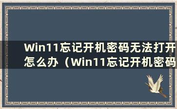 Win11忘记开机密码无法打开怎么办（Win11忘记开机密码怎么办？）