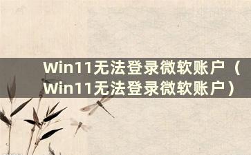 Win11无法登录微软账户（Win11无法登录微软账户）