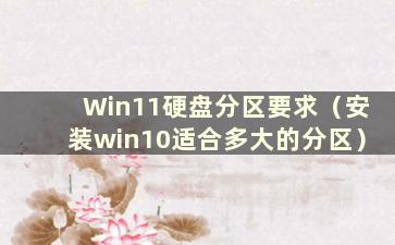 Win11硬盘分区要求（安装win10适合多大的分区）