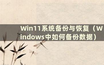 Win11系统备份与恢复（Windows中如何备份数据）