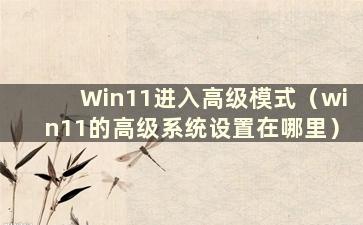 Win11进入高级模式（win11的高级系统设置在哪里）