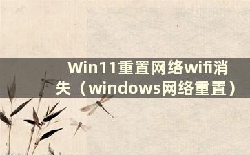 Win11重置网络wifi消失（windows网络重置）