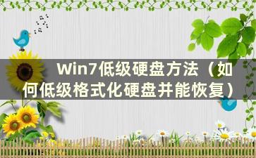 Win7低级硬盘方法（如何低级格式化硬盘并能恢复）